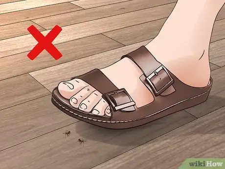 Image titled Prevent Stink Bugs Step 11