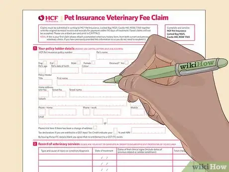 Image titled Adopt a Special Needs Cat Step 12