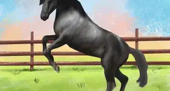 Feed a Horse Magnesium