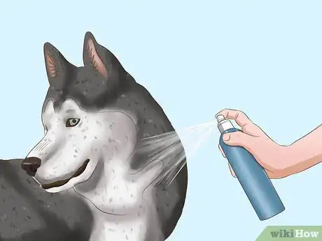 Image titled Protect Your Pets from Summertime Pests Step 15