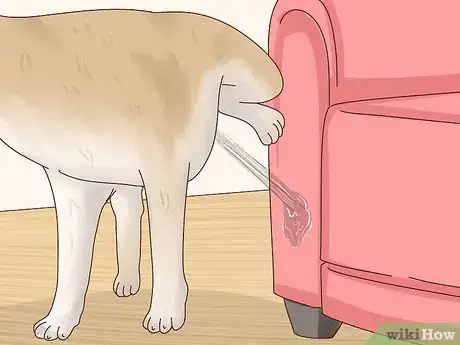 Image titled Recognize Signs of Anxiety in Dogs Step 12