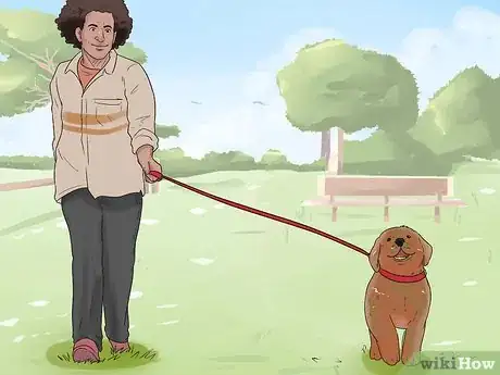 Image titled Socialize Your Dog Step 15