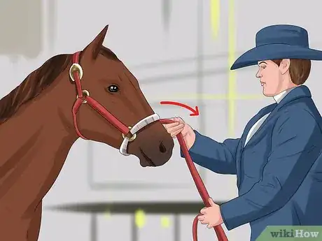 Image titled Put a Lead Rope on a Horse Step 9
