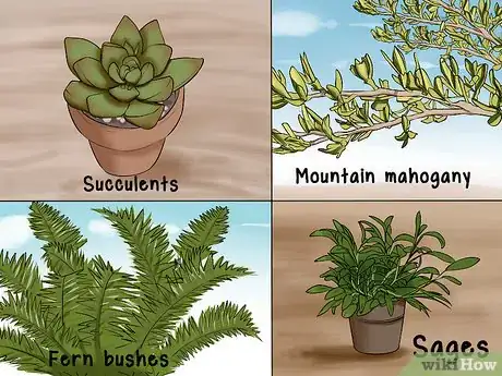 Image titled Design a Desert Garden Step 7