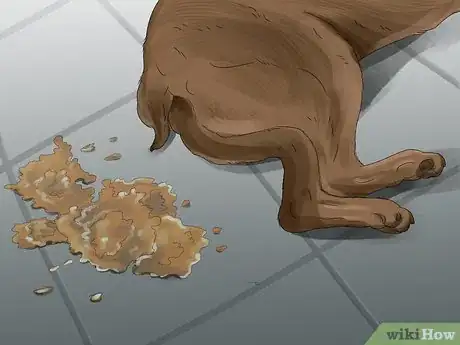 Image titled Tell if Your Dog Is Having a Medical Emergency Step 9