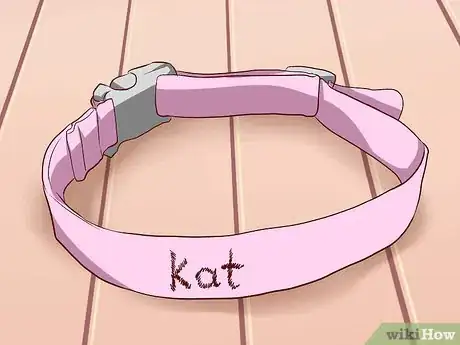 Image titled Travel Long Distance With a Cat Step 2