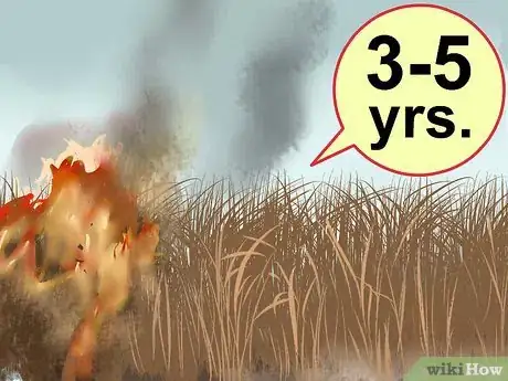 Image titled Plant Switchgrass Step 14