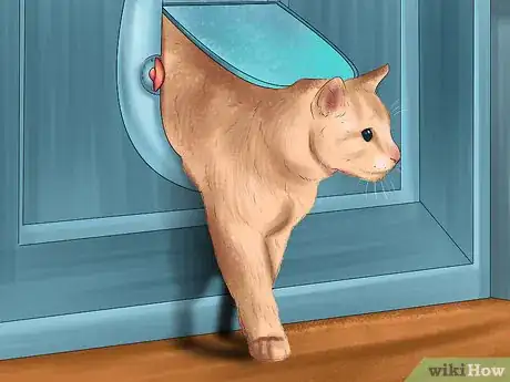 Image titled Give Your Cat Space to Sunbathe Step 7