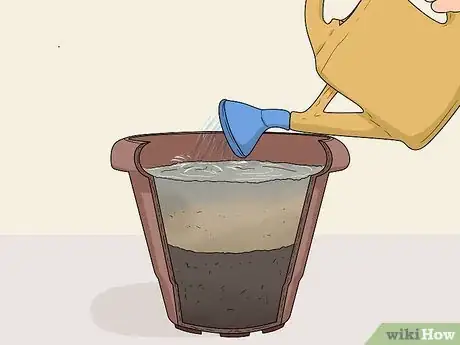 Image titled Take Softwood Cuttings Step 7