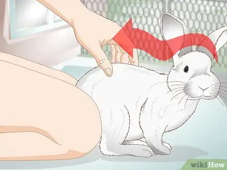 Image titled Spoil Your Pet Rabbit Step 6