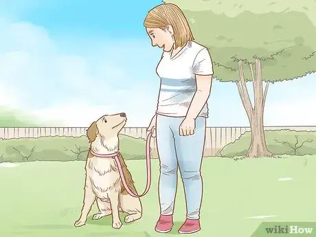 Image titled Train Your Dog to Walk or Heel Without a Choke Chain Step 5