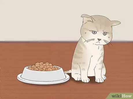 Image titled Diagnose and Treat Zinc Poisoning in Cats Step 2