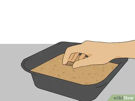 Image titled Plant Sycamore Tree Seeds Step 2