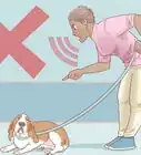 Train Your Dog to Walk or Heel Without a Choke Chain