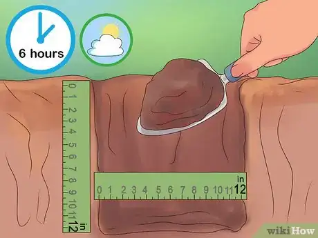 Image titled Divide Rhubarb Plants Step 11