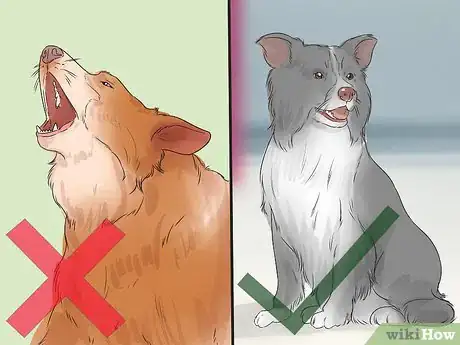 Image titled Identify and Correct Unwanted Dog Behaviors Step 3