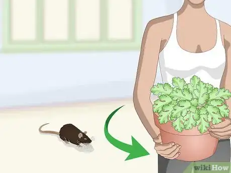 Image titled Safely Let a Mouse Out of Its Cage Step 3