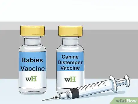 Image titled Get Your Ferret Vaccinated Step 3