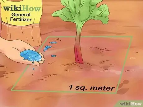 Image titled Divide Rhubarb Plants Step 16