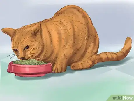 Image titled Prevent Infection from Toxoplasmosis Step 8