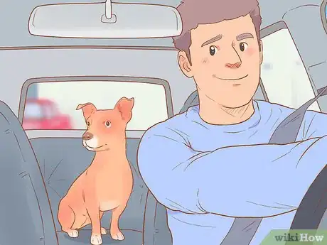 Image titled Keep Your Dog Entertained Step 12