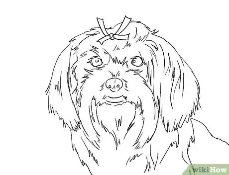 Image titled Draw a Cute Maltese Dog Face Step 11