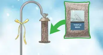 Attract Yellow Finches