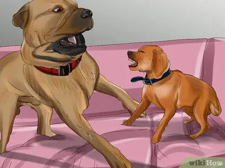 Image titled Introduce a Puppy to a Dog Step 1