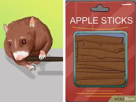 Image titled Care for a Hamster on a Small Budget Step 7