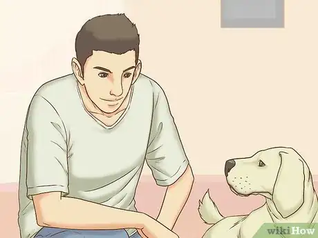 Image titled Interact with a Dog Before Adopting It Step 1