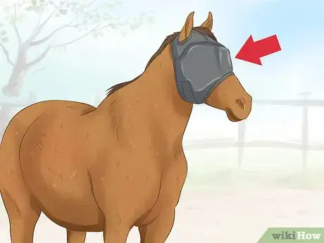 Image titled Protect Your Pets from Summertime Pests Step 32