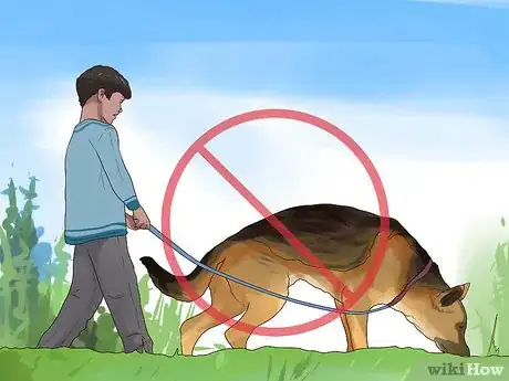 Image titled Walk a Big Dog As a Kid Step 5