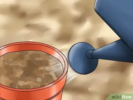 Image titled Grow Great Herbs Step 6