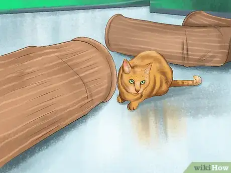 Image titled Use Cat Tunnels Step 10