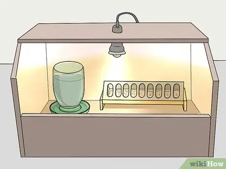 Image titled Raise Meat Chickens Step 8