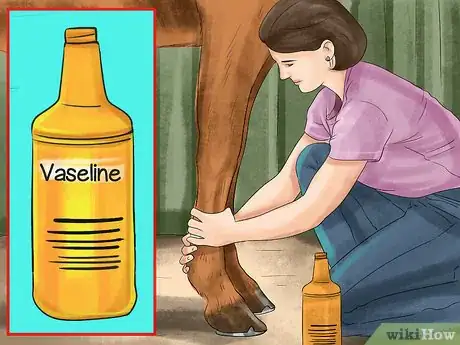 Image titled Treat External Horse Parasites Step 6