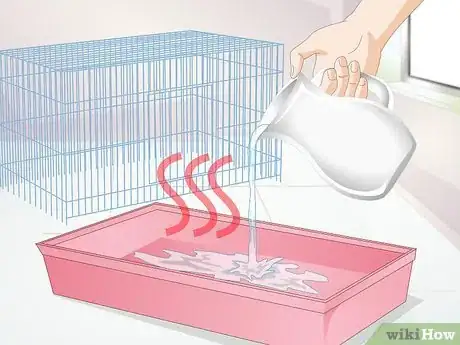 Image titled Identify Pinworms in Mice Step 6