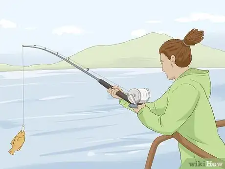 Image titled Plan an Alaskan Cruise Step 13