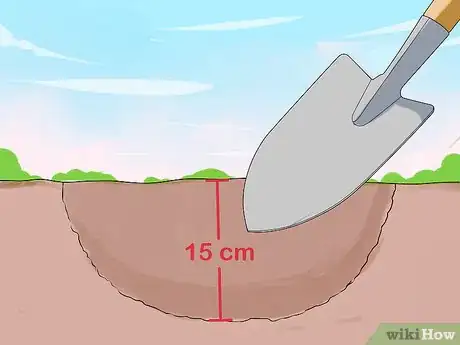 Image titled Grow Vegetables in Small Gardens Step 11