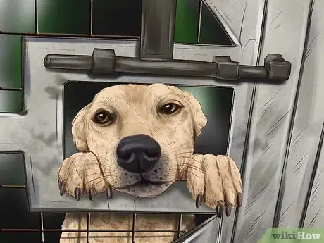 Image titled Build a Chicken Friendly Garden Step 3