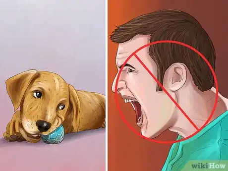 Image titled Keep Kids’ Toys Away from Dogs Step 6