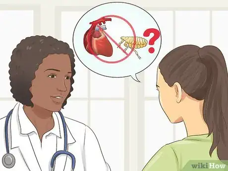 Image titled Take Care of an American Wirehair Cat Step 8