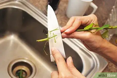 Image titled Tint Flowers Step 3