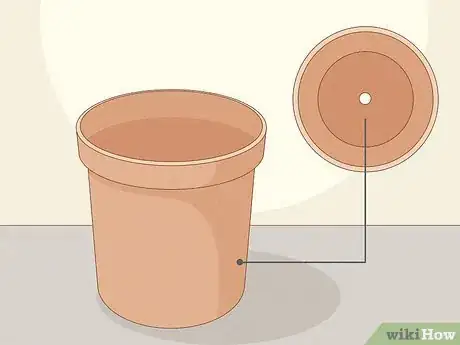 Image titled Plant Anemone Corms Step 3