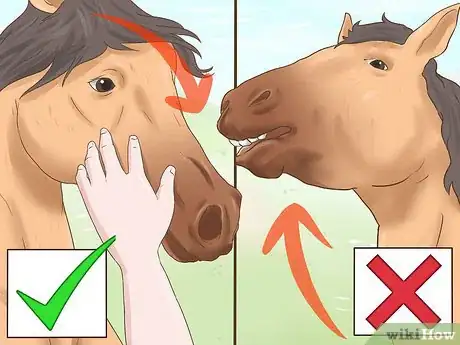 Image titled Bridle a Grumpy Horse Step 10