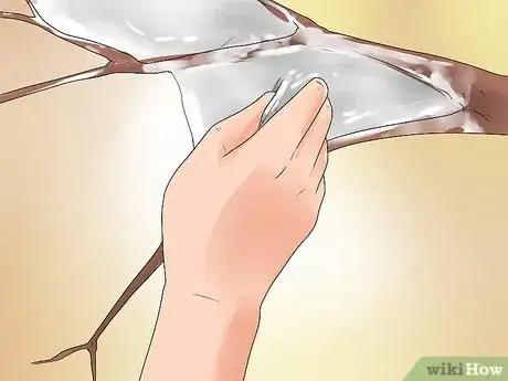 Image titled Care for a Weeping Cherry Tree Step 15