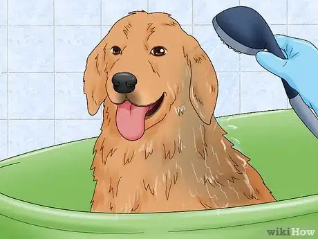 Image titled Help Homeless Animals Step 11