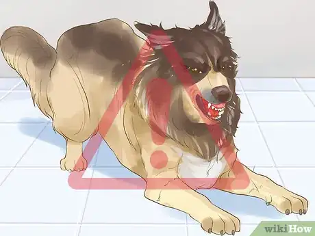 Image titled Include Your Dog in an Emergency Disaster Plan Step 15