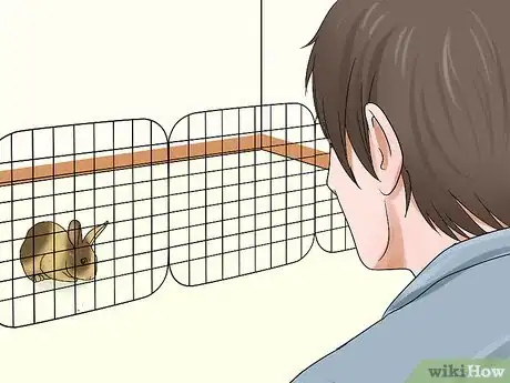 Image titled Prevent Snuffles (Pasteurella) in Rabbits Step 2