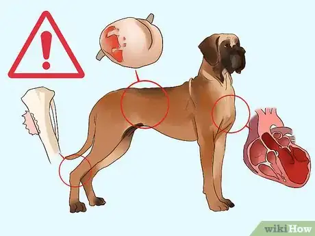 Image titled Choose a Laid‐Back Dog Step 3